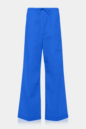 Designer Royal Blue Pants